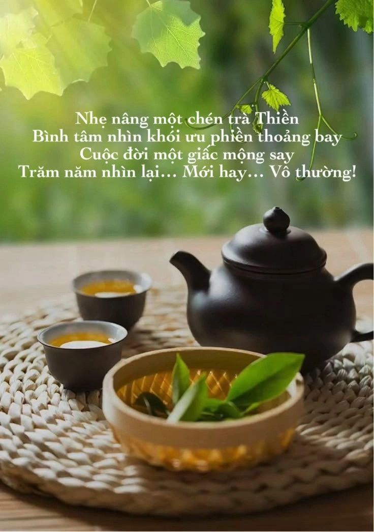 Tuyển chọn hinh anh y nghia cuoc song cho tâm trạng tích cực