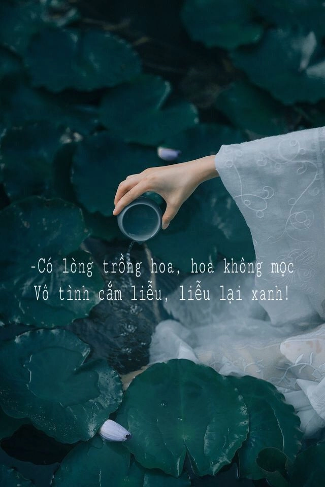 Tải ngay hình ảnh đẹp ý nghĩa về cuộc sống cho điện thoại