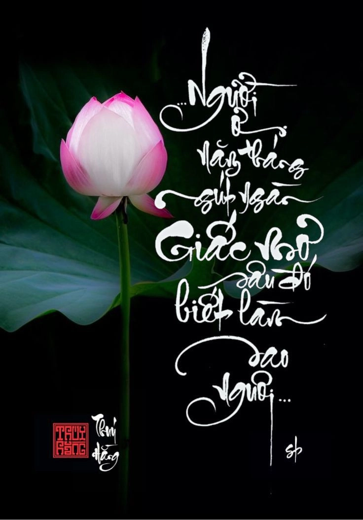 Ảnh đại diện đẹp và ý nghĩa là sự kết hợp giữa thẩm mỹ và thông điệp sâu sắc