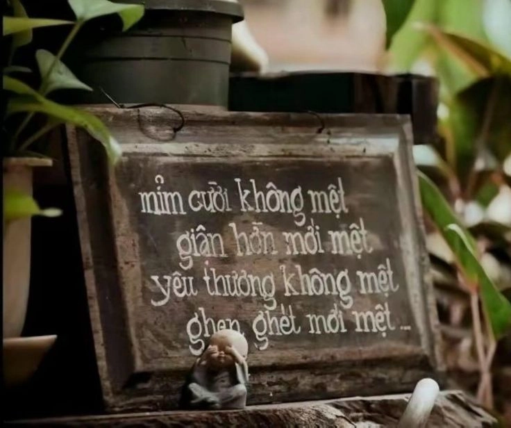Avatar đẹp làm hình nền tạo không gian thư thái cho thiết bị của bạn