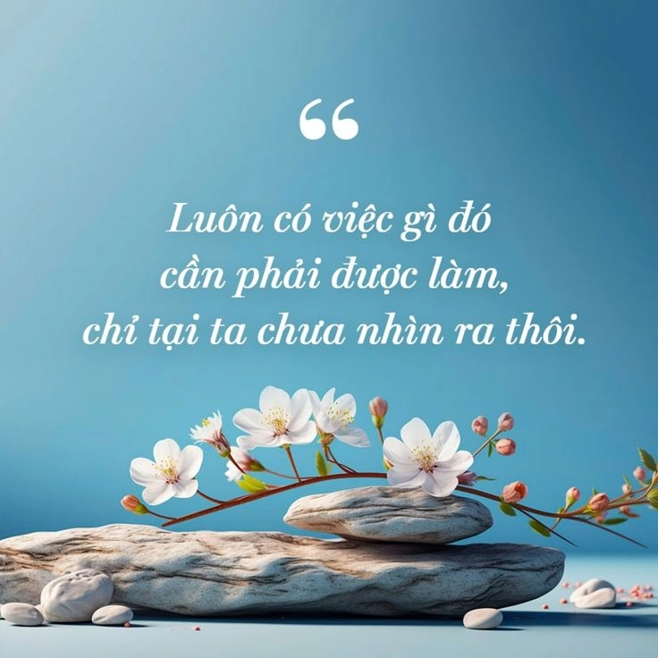 Tận hưởng từng khoảnh khắc qua ảnh ý nghĩa cuộc đời