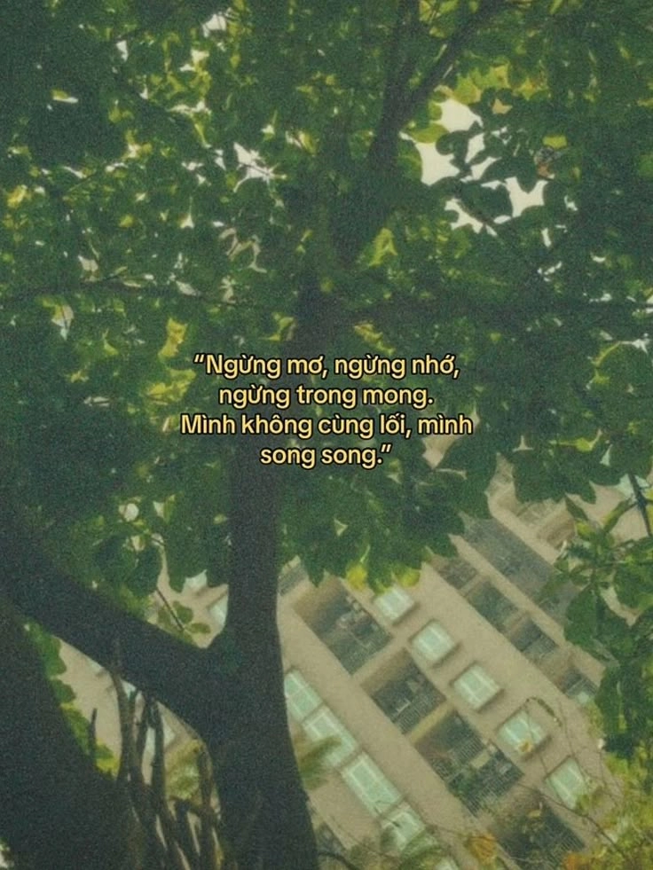 Mỗi hình ảnh thơ thất tình là một bản nhạc buồn