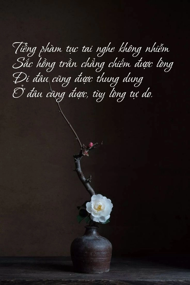 Khơi dậy suy tư với ảnh ý nghĩa cuộc sống mỗi ngày