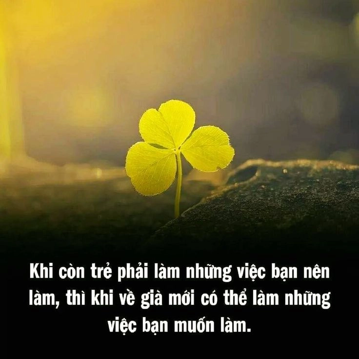 Làm mới góc nhìn qua hình ảnh có ý nghĩa về cuộc sống