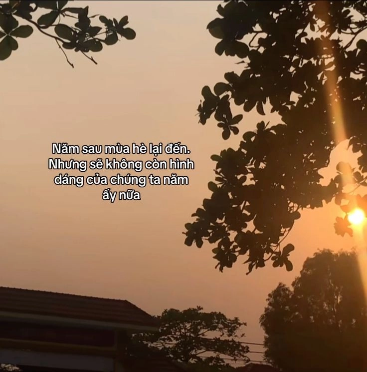Lặng người trước loạt thất tình hình ảnh