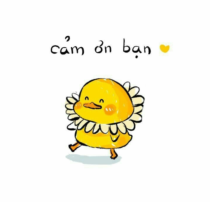 Đặt ngay ảnh con vịt cute vàng làm avatar vịt hài hước