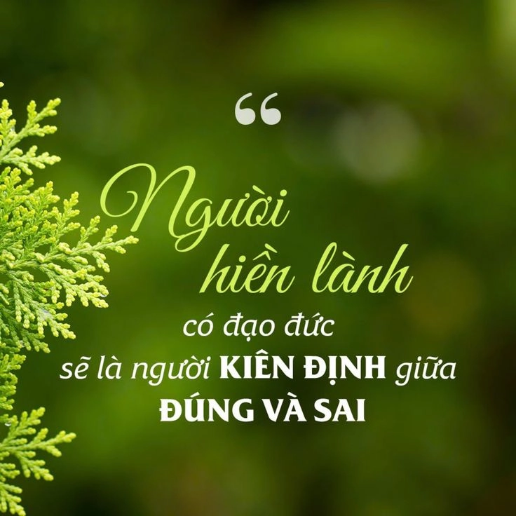 Thả tâm trạng với ảnh ý nghĩa về cuộc sống truyền cảm hứng