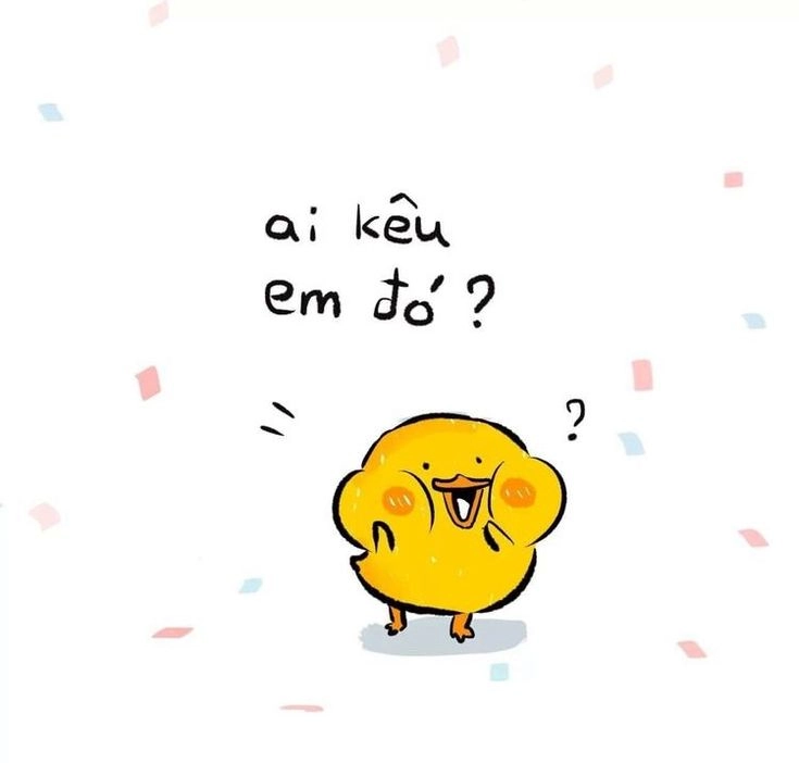 Không thể nhịn cười khi thấy ảnh vịt vàng ngầu