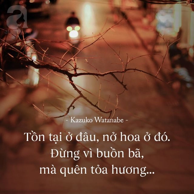 Tái tạo cảm xúc qua hình ảnh ý nghia ve cuoc song đặc biệt