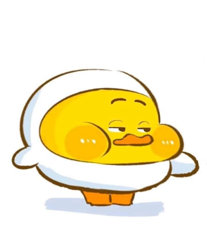 Cười nhẹ nhàng cùng ảnh con vịt cute mỗi lần xem