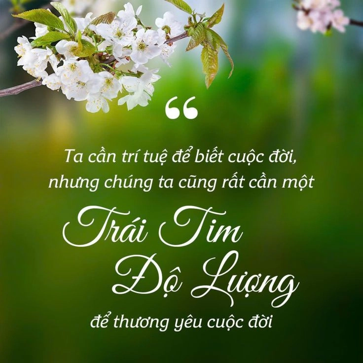 Cài ngay hình nền chữ ý nghĩa về cuộc sống cho dế yêu