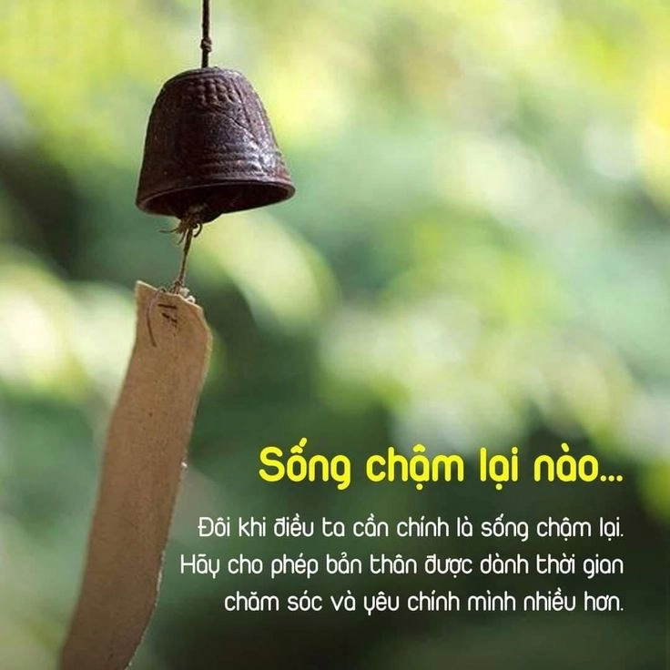 Tuyển tập hình ý nghĩa cuộc sống giúp thư giãn đầu ócTuyển tập hình ý nghĩa cuộc sống giúp thư giãn đầu óc