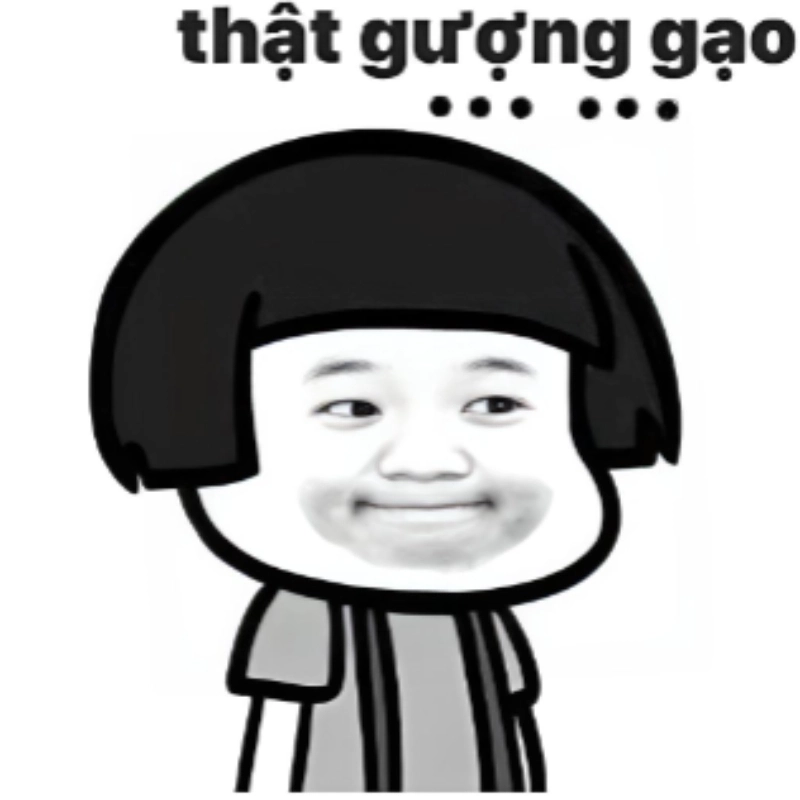 Gượng cười meme thể hiện sự bất đắc dĩ trong những tình huống hài hước, khiến người xem vừa thấy buồn cười vừa đồng cảm
