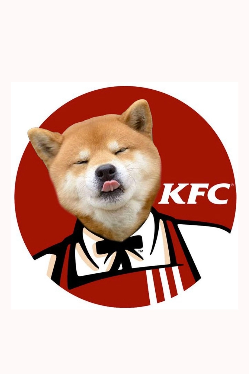 Hình nền chó shiba meme cực dễ thương