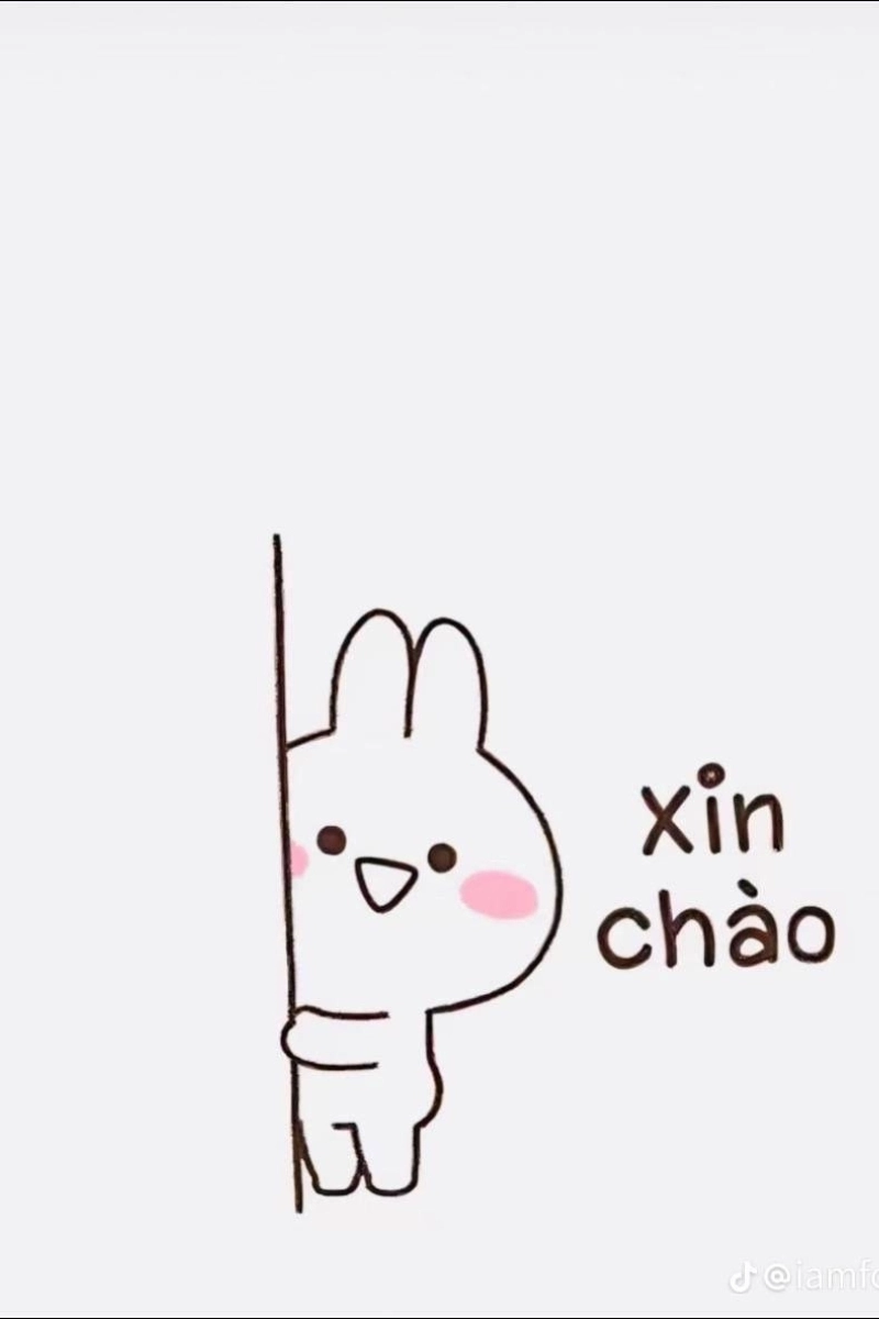 Hình nền avatar meme siêu cool cho bạn