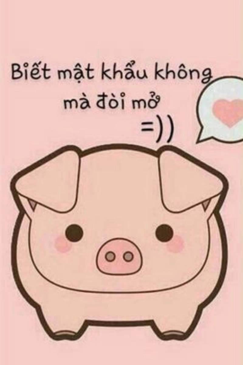 Những hình nền meme bựa siêu vui
