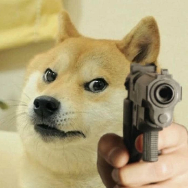 Meme chó cầm súng cực ngầu