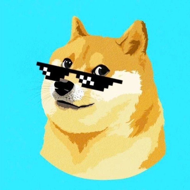 Meme chó shiba siêu đáng yêu