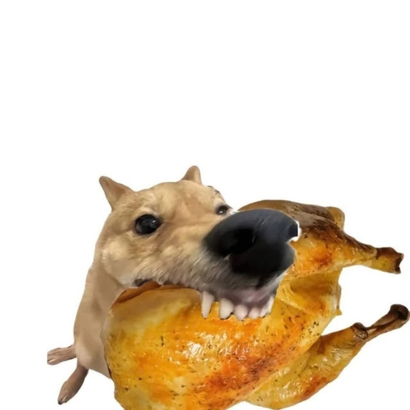 Xem chú chó hài hước khi meme chó gặm thịt