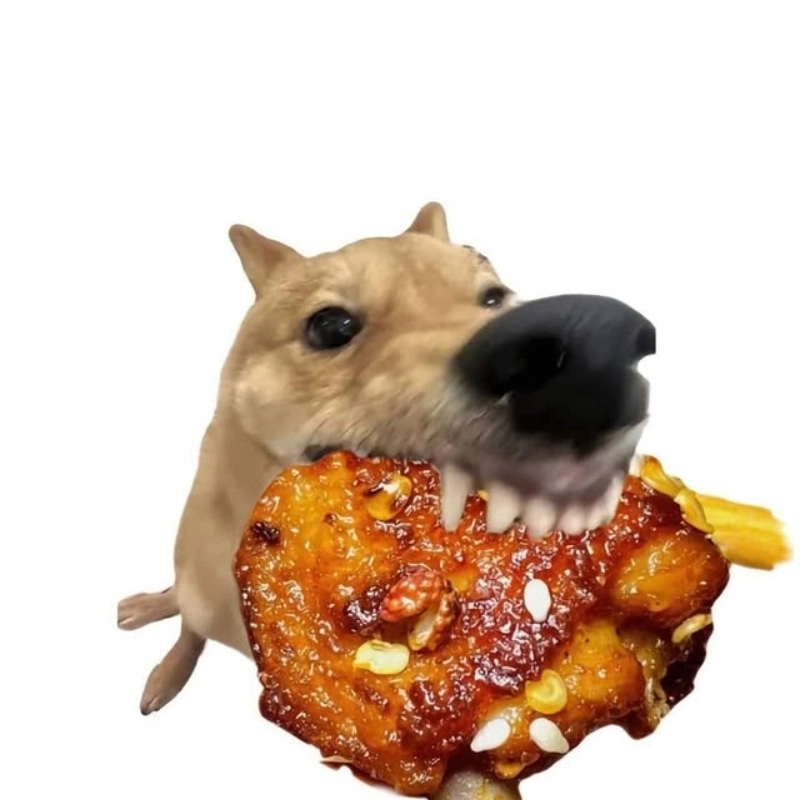 Chú chó ăn thịt trong meme chó ăn thịt thật hài hước và thú vị