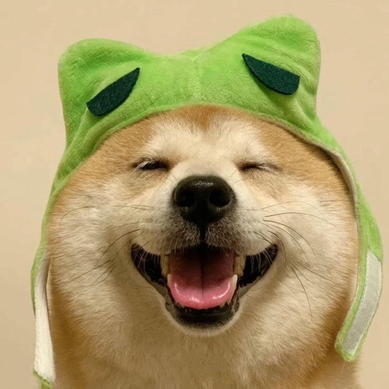 Meme chó cười cực vui nhộn cho bạn