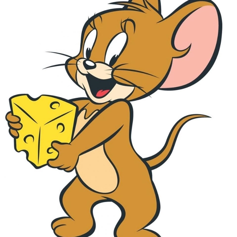 Ảnh meme chuột jerry mang lại tiếng cười dễ chịu với những tình huống ngớ ngẩn