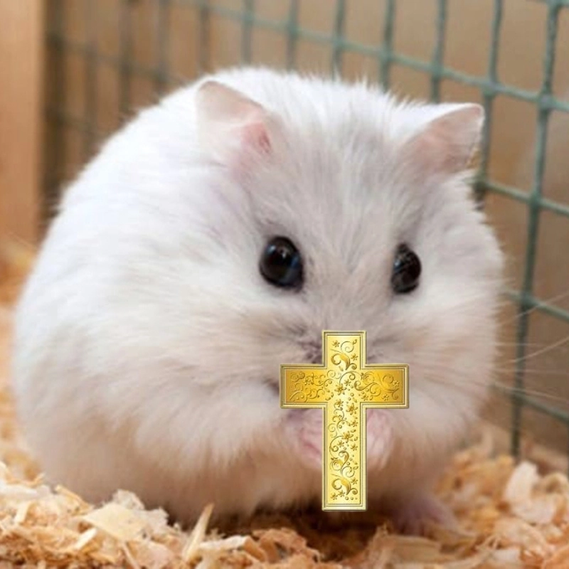 Meme chuột hamster cầm thánh giá cực kỳ độc đáo và tạo sự ấn tượng mạnh mẽ