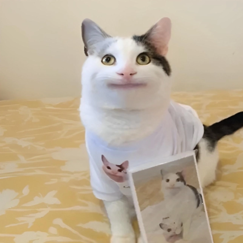 Meme đểu luôn khiến bạn không thể ngừng cười vì sự hài hước