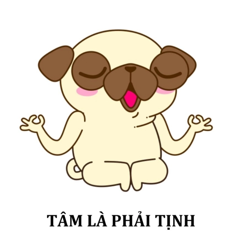 Dễ thương meme khiến ai cũng rụng tim vì sự đáng yêu