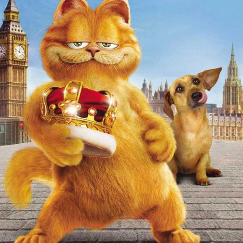 Phim mèo cute cực kỳ ngọt ngào