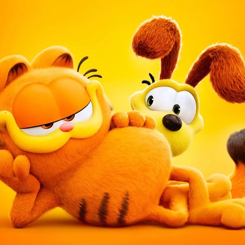 Pé mèo cute cực đáng yêu