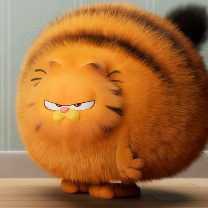 Em bé mèo cute cực kỳ dễ thương