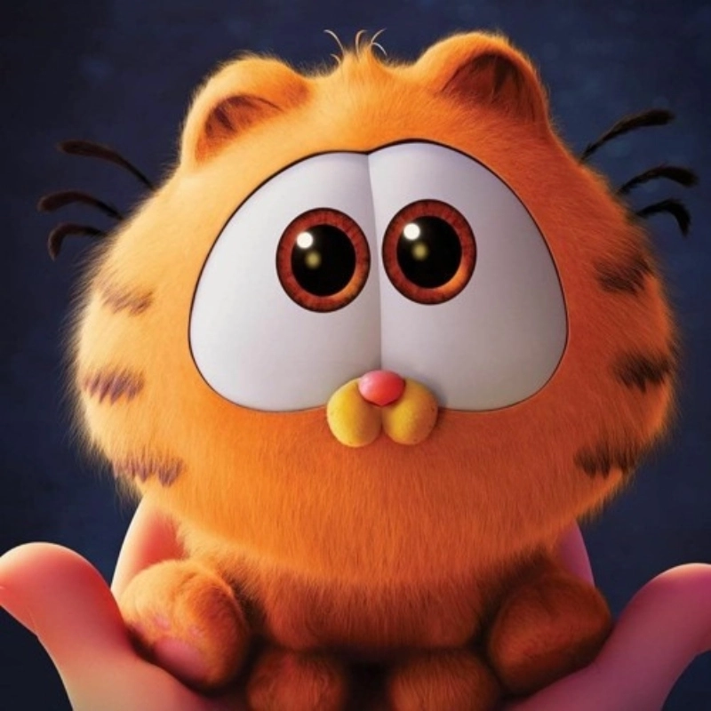 Hình con mèo meme cute cực ngộ nghĩnh