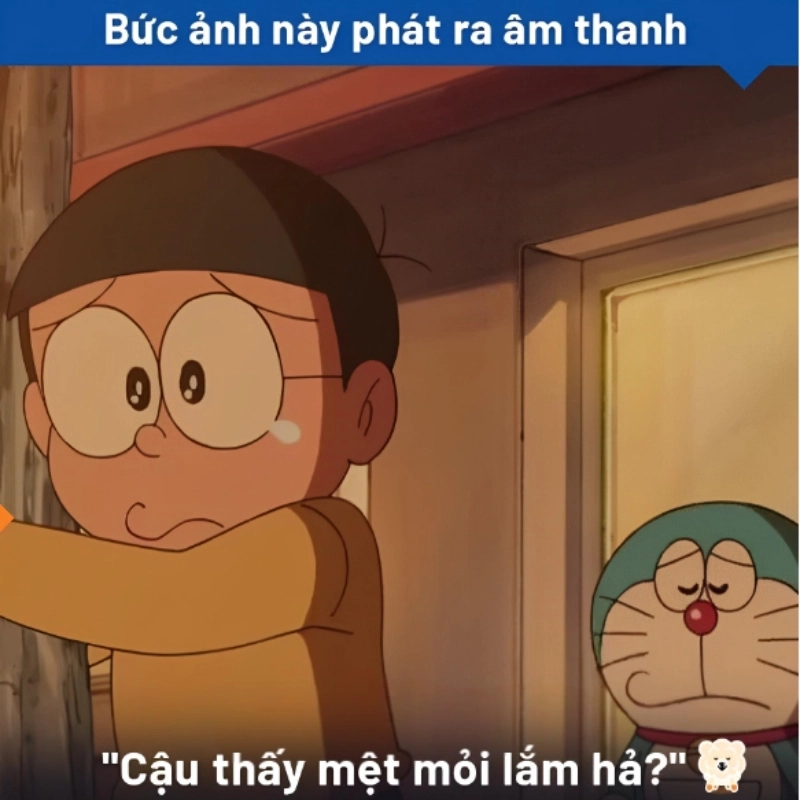 Cậu mệt mỏi lắm hả meme thể hiện sự đồng cảm với bạn bè