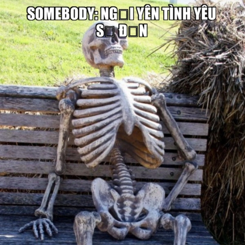 Ngồi im tình yêu sẽ đến meme dành cho những ai đang chờ đợi