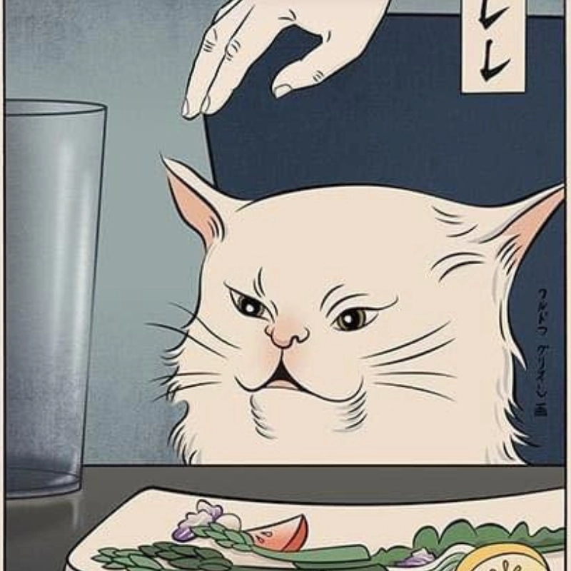 Mèo meme vẽ dễ thương luôn chiếm lĩnh mọi trái tim của người yêu động vật