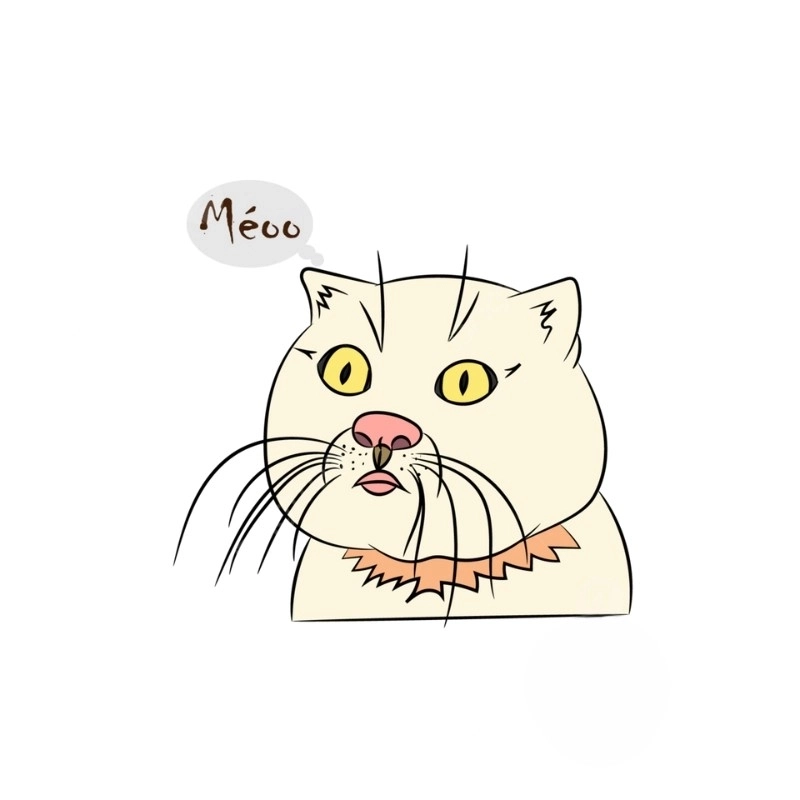 Meme mèo vẽ luôn gây cười nhờ vào sự dễ thương đặc trưng