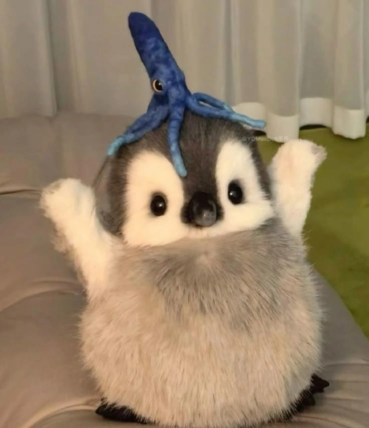 Đốn tim ngay với chim canh cut cute dễ thương