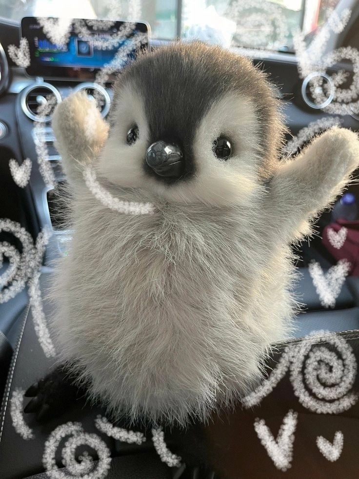 Ngất ngây vì con chim cánh cụt cute siêu đáng yêu