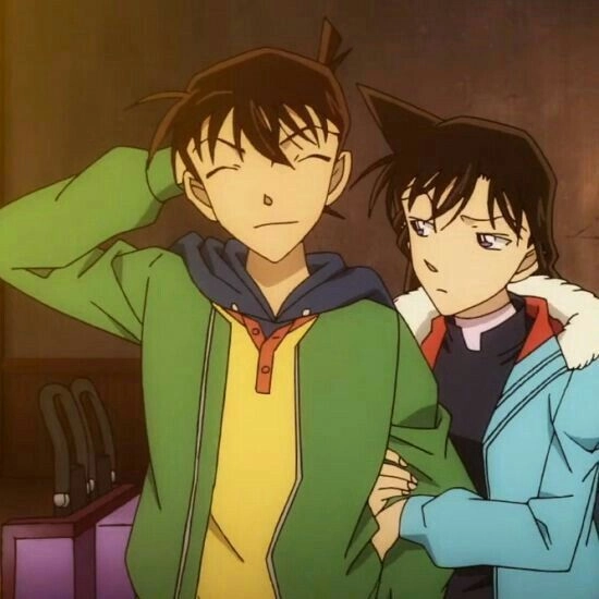 Tình yêu tuyệt vời qua hình shinichi và ran