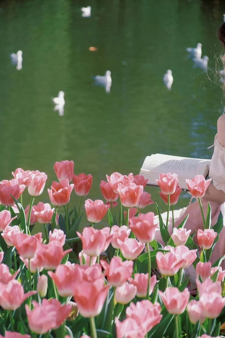 Tranh hoa tulip cute dễ thương, phù hợp làm hình nền hoặc quà tặng