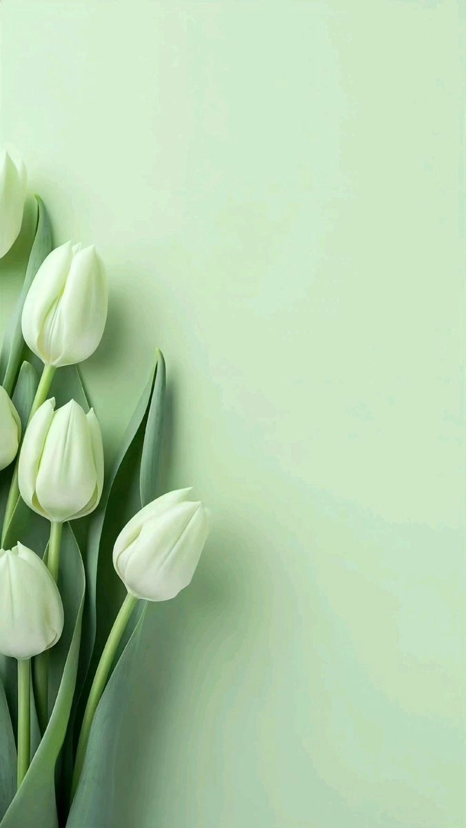 Hoa tulip xanh lá hiếm thấy, biểu tượng cho sự tươi mới