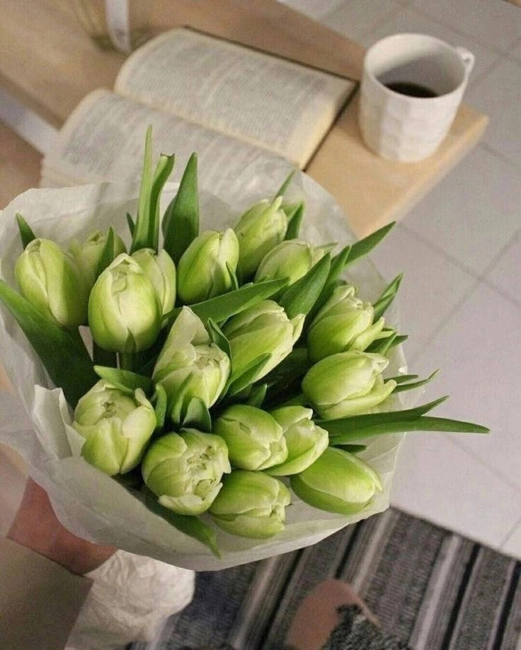 Hoa tulip màu xanh đầy bí ẩn, tượng trưng cho sự kỳ diệu
