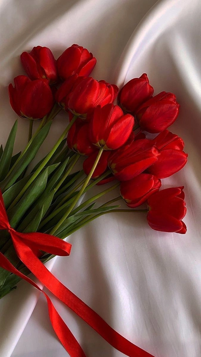 Hoa tulip đỏ có ý nghĩa gì biểu trưng của lòng đam mê và nhiệt huyết