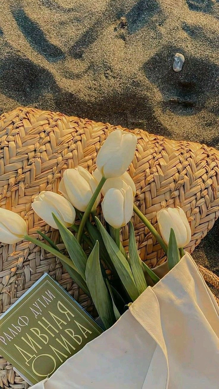 Hoa tulip trắng có ý nghĩa gì mang thông điệp của sự trong sáng