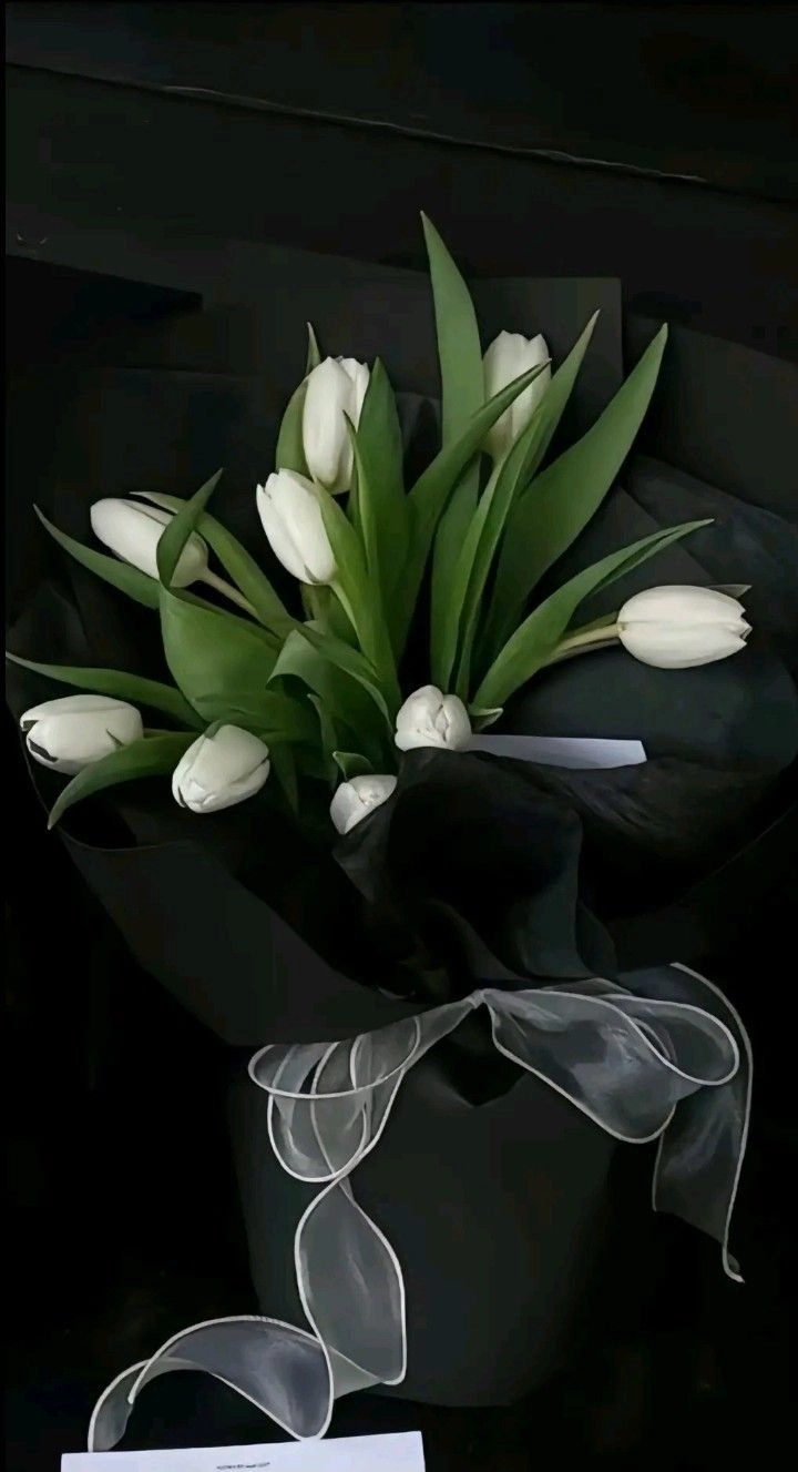 Hoa tulip màu trắng trang nhã, gợi lên vẻ đẹp thuần khiết