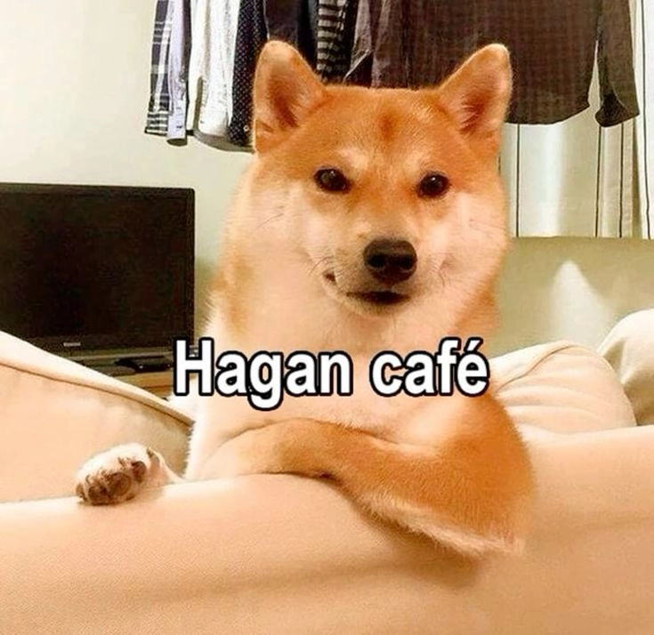 Hình chó cheems cười ra nước mắt