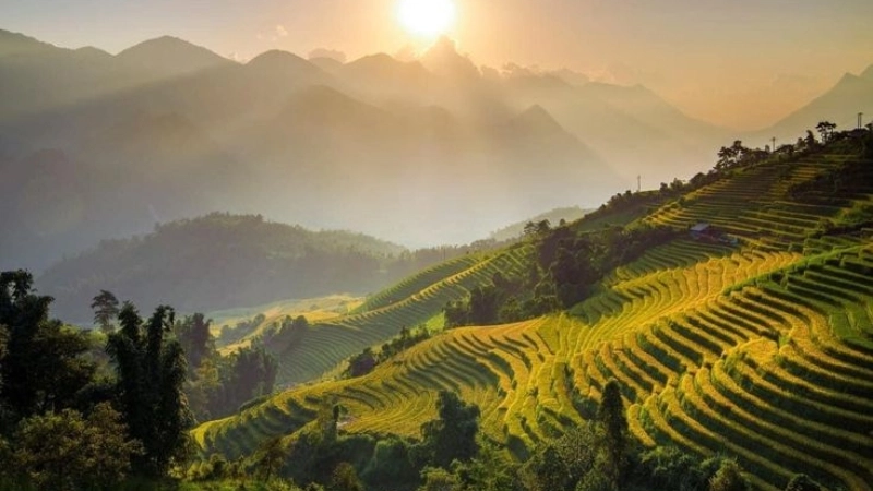 Lưu ngay bộ sưu tập hình phong cảnh thiên nhiên đẹp