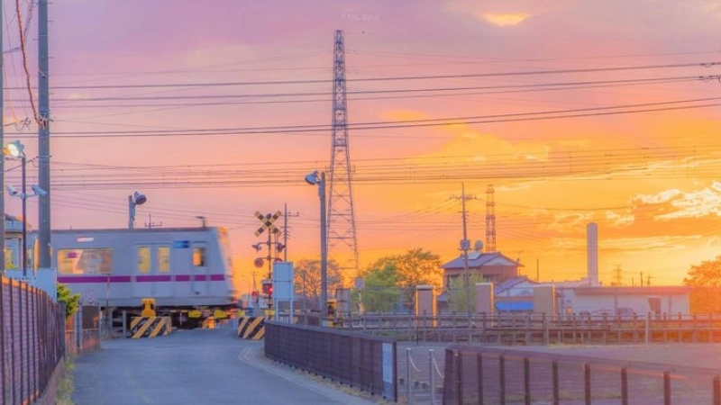Tận hưởng vẻ yên bình từ hình ảnh nền thiên nhiên đẹp