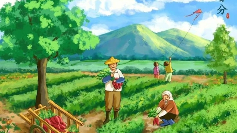 Tâm an giữa đời với hình ảnh thiên nhiên bình yên